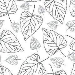 Vector seamless pattern. Poplar leaves on the white background. Monochrome outlines illustration.