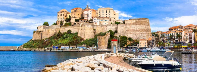 Fototapete Rund Calvi - panoramic view with fortress. Corsica island, France © Freesurf