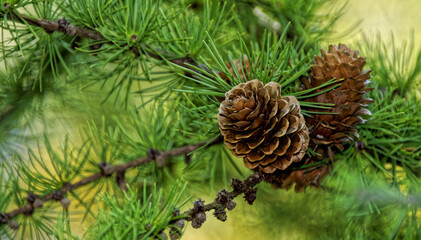 Park der Sinne  - Hannover