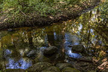 Wildlife sanctuary Hahnheide - beck Mühlenbach