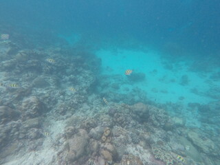 DCIM\100GOPRO\GOPR7090.JPG
