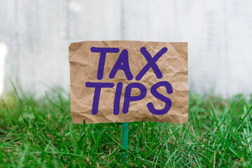 Word writing text Tax Tips. Business photo showcasing compulsory contribution to state revenue levied by government Crumpled paper attached to a stick and placed in the green grassy land