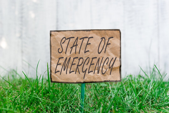 Handwriting text writing State Of Emergency. Conceptual photo acknowledging an extreme condition affecting at a national level Crumpled paper attached to a stick and placed in the green grassy land
