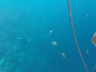 DCIM\100GOPRO\GOPR7108.JPG
