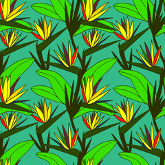Strelitzia tropical flowers seamless pattern. Vector stock illustration eps10.