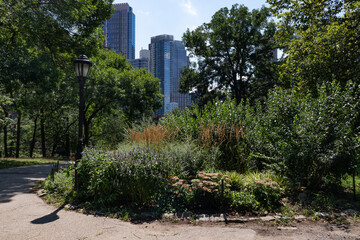 Fort Greene Park with Green Trees and Plants during Summer in Fort Greene Brooklyn New York