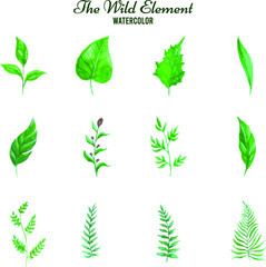 Fototapeta na wymiar The Collection Of Plant Elements Include The Fresh Of Green Leaves On Watercolor Artwork For Your Inspiration Creation.