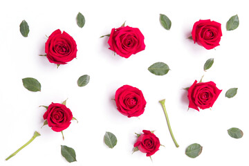 red roses,leaves,stem on white background for layout.valentine concept.broken heart concept.