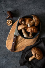 Boletus mushrooms. Healthy and delicates food.