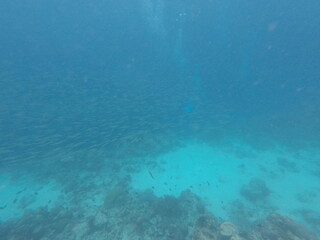 DCIM\100GOPRO\GOPR7095.JPG