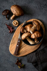 Boletus mushrooms. Healthy and delicates food.