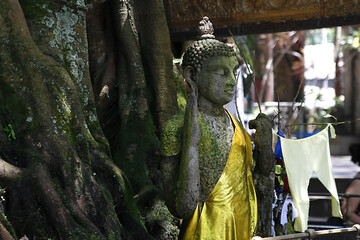 Fototapeta na wymiar Tempel in Sri Lanka