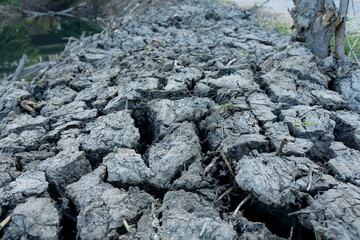 The clay ground cracked in arid area