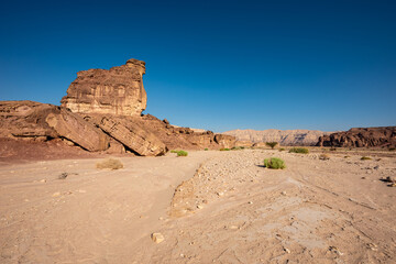 Sculpture of a Sphinx made by nature in the Arava Valley near Eilat. Timna Park. Israel. 