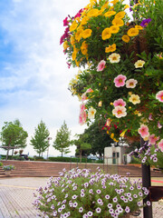 緑ときれいな花が咲き乱れる愛知県一宮市の公園