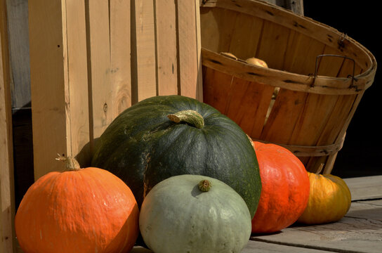 Closeup of a colorful autumn gourds.
