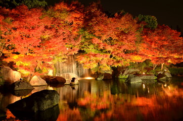 【兵庫県】姫路市・好古園の紅葉
