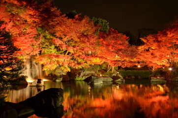 【兵庫県】姫路市・好古園の紅葉