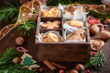 Traditionally gingerbread cookies for Christmas decorated with spruce and nuts