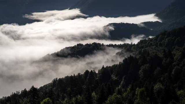 Timelapse mer de nuages vall&eacute;e for&ecirc;t pyr&eacute;n&eacute;es ari&eacute;goises