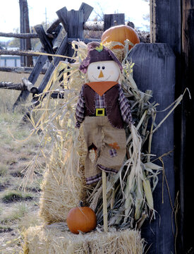 scarecrow and pumpkin form a decortive autumn presentation.