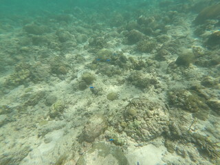 DCIM\100GOPRO\GOPR7164.JPG
