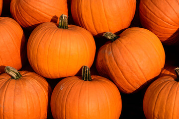 Close up and background of orange Halloween pumpkins stacked on top of each other