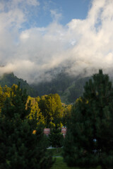 Misty mountain landscape with fir forest. Beautiful landscape with mountain view, cable car. Postcard view. Travel concept. Sunset, Golden hour