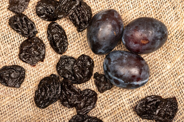 Juicy black plums and dried prunes on a homespun cloth with a rough texture. Close up. Autumn harvest.