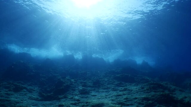 fish scenery underwater sun beams sun rays underwater mediterranean sea sun shine relaxing ocean scenery