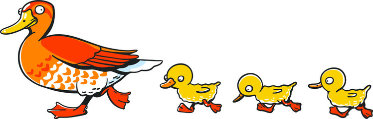 Cartoon mother duck with babies walks on white background.