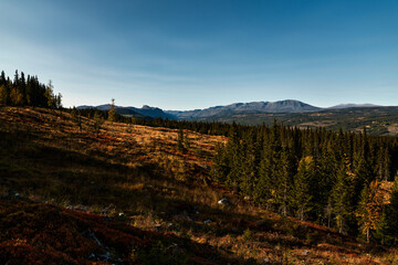 Countryside of Norway. Rural landscape from a different time.  Shot in Hallingdal, Gol. View...