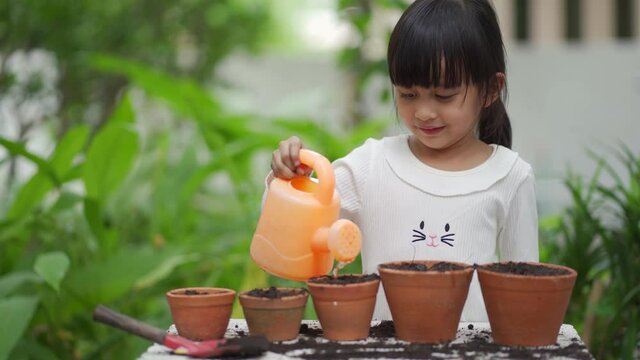 Adorable 5 years old asian little girl is watering the plant  in the pots outside the house, concept of plant growing learning activity for preschool kid and child education for the tree in nature
