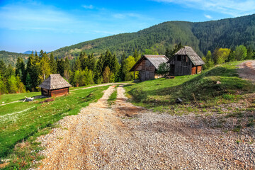 Beautiful Tara Mountain in Serbia