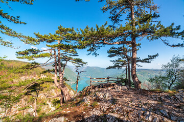Banjska stena at Tara mountain