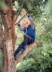 Naklejka na ściany i meble Cute blonde young boy climbing on the tree