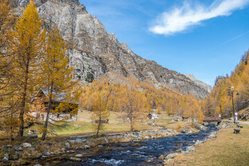 The colours of autumn at the Alpe Devero in Crampiolo, little village in the mountains