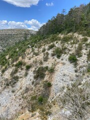 Cirque de Navacelles, Cévennes