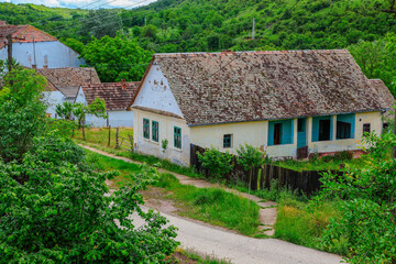 Fototapeta na wymiar A beautiful village in Serbia