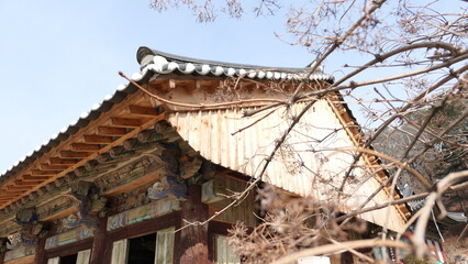 Fototapeta na wymiar korean temple