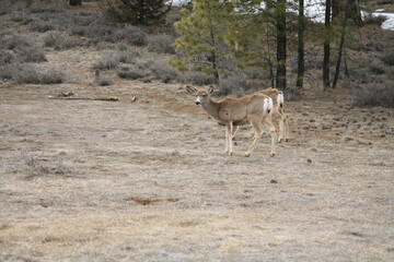 アメリカのブライスキャニオン国立公園