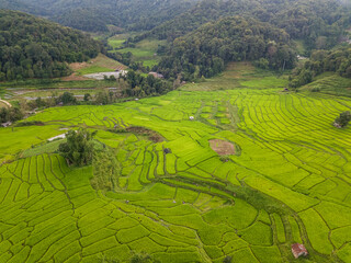 Aerial views of Small house and rice terraces field at pabongpaing village rice terraces Mae-Jam Chiang mai, Thailand