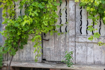 Old door on the barn