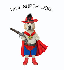 A dog in a hat, a cloak, boots and shorts holds a flintlock pistol. I am a super hero. White background. Isolated.