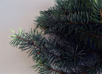christmas decoration on wooden background