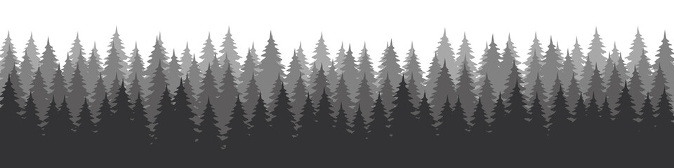 Obraz premium Forest landscape with silhouettes of coniferous trees. Horizontal backgrounds of nature. Vector illustration 