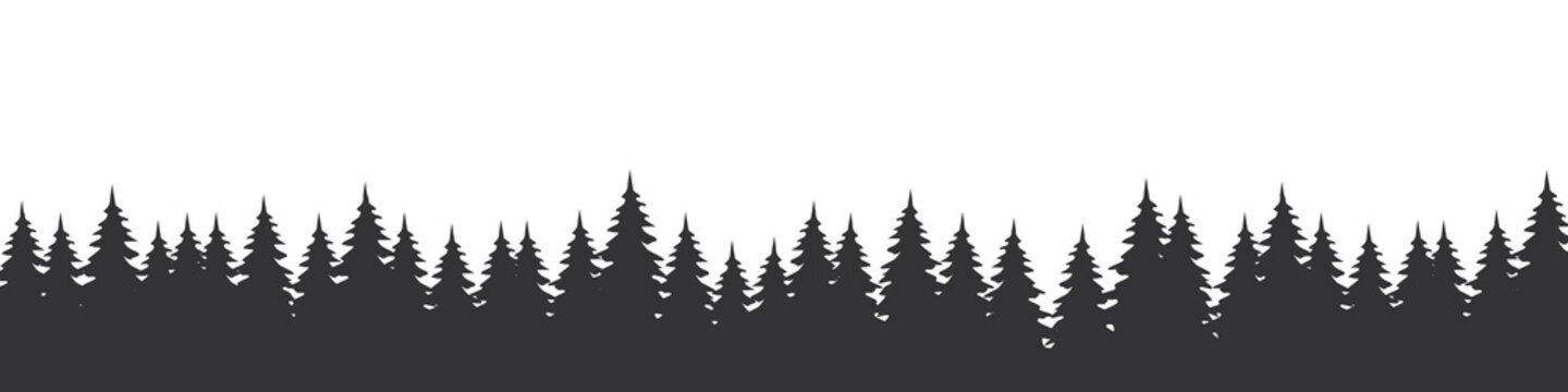 Forest landscape with silhouettes of coniferous trees. Horizontal backgrounds of nature. Vector illustration
