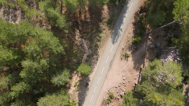 Aerial view zooming out from a road and river passing through a pine forest near Asco in Corsica