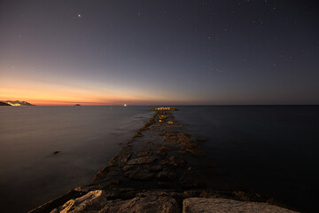 nocturna