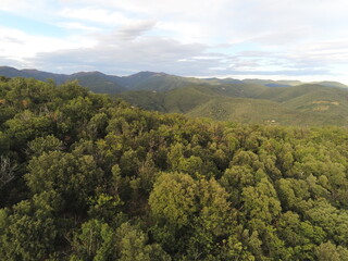 Forêt dans les Cévennes, vue aérienne